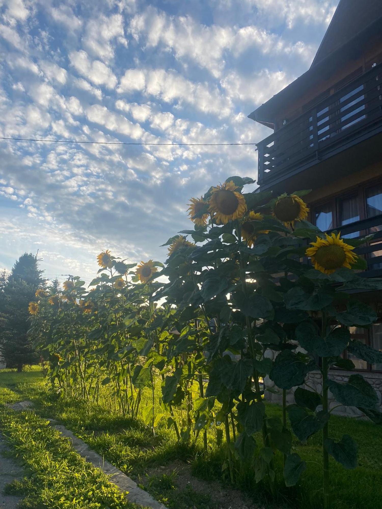 Pokoje Goscinne Maja Białka Esterno foto